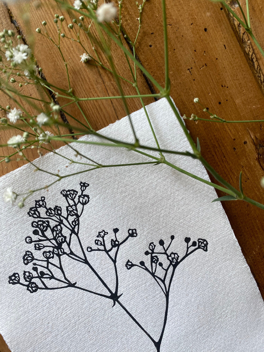 Limited Edition Gypsophila Limited Edition A5 Lino Print
