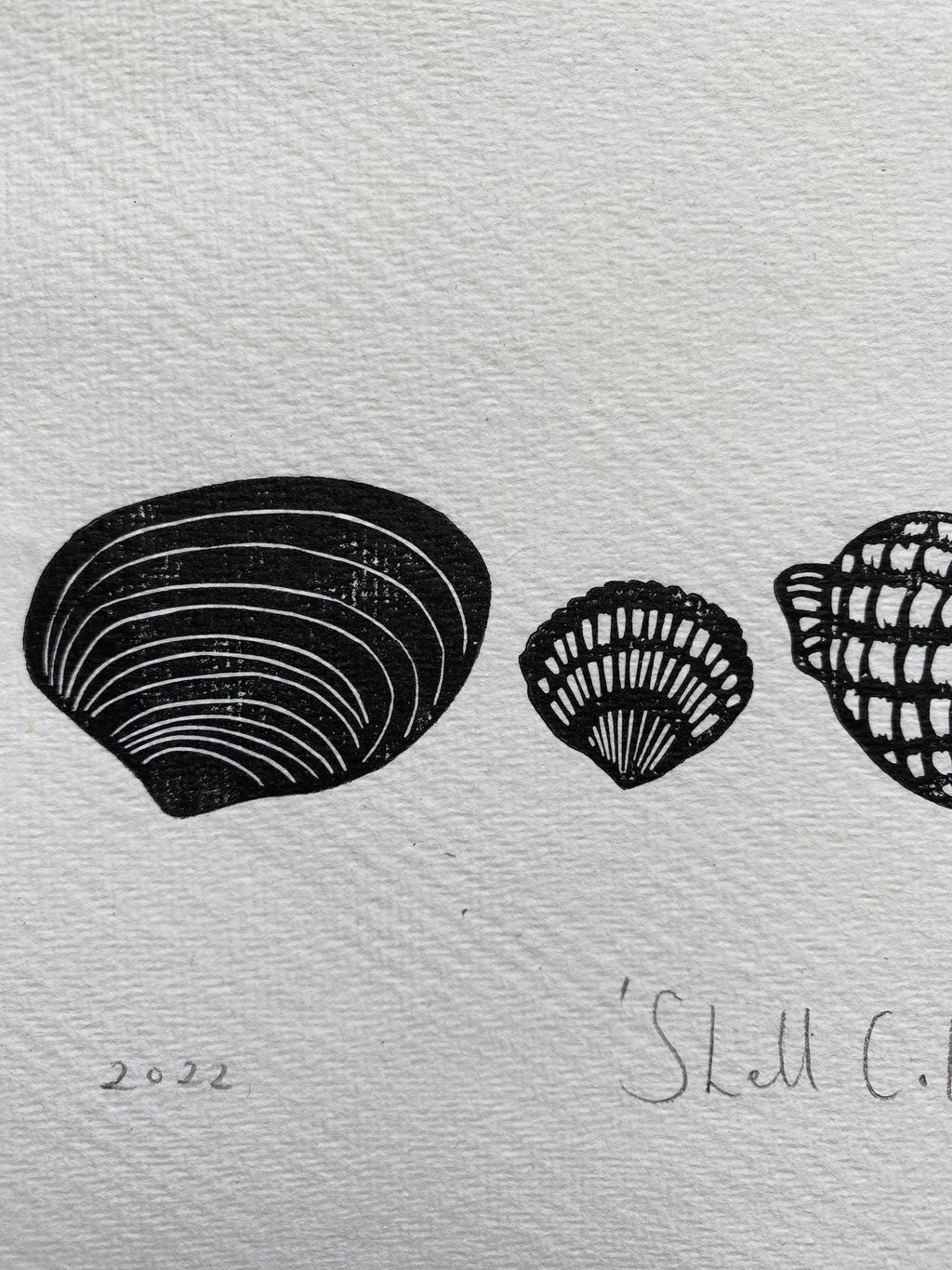 Limited Edition Shell Collection A5 Lino Print