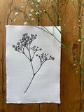 Limited Edition Gypsophila Limited Edition A5 Lino Print