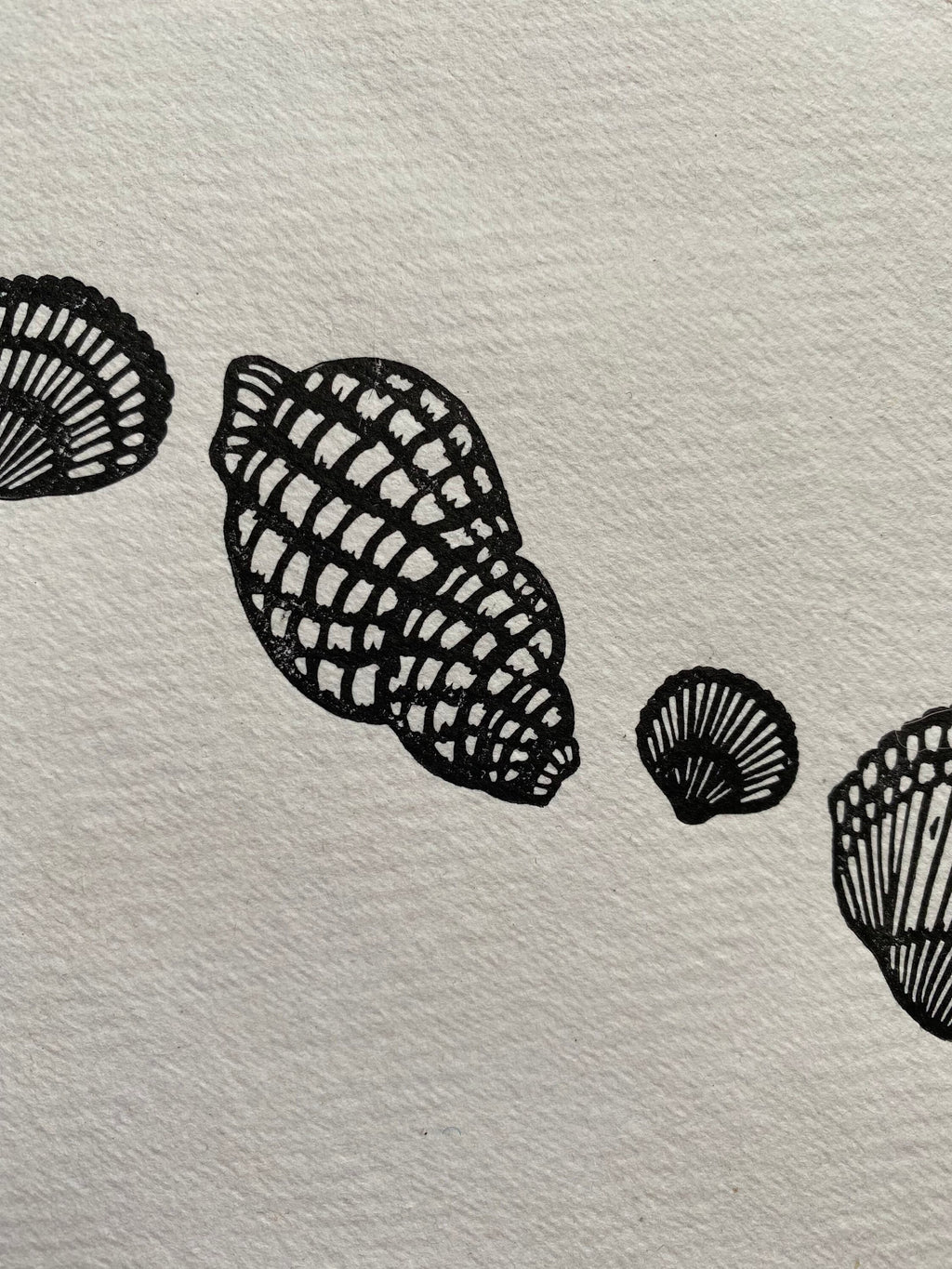 Limited Edition Shell Collection A5 Lino Print