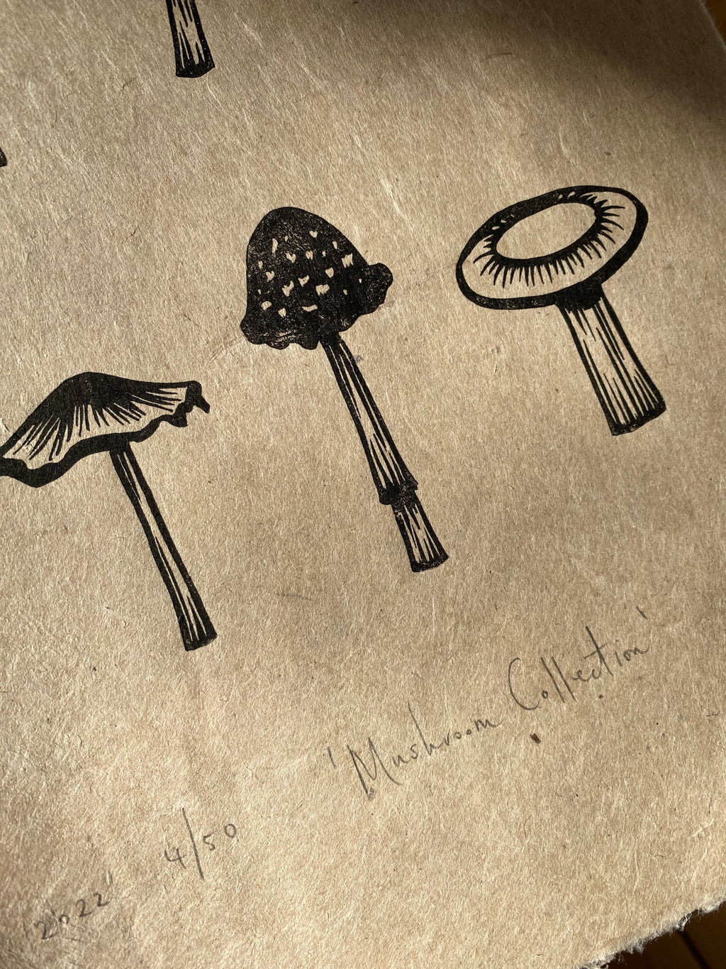 Limited Edition A4 Mushroom Collection Lino Print