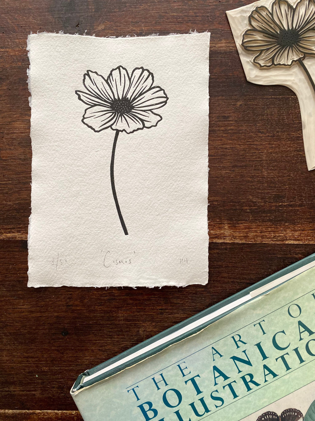 Limited Edition Cosmos A5 Lino Print