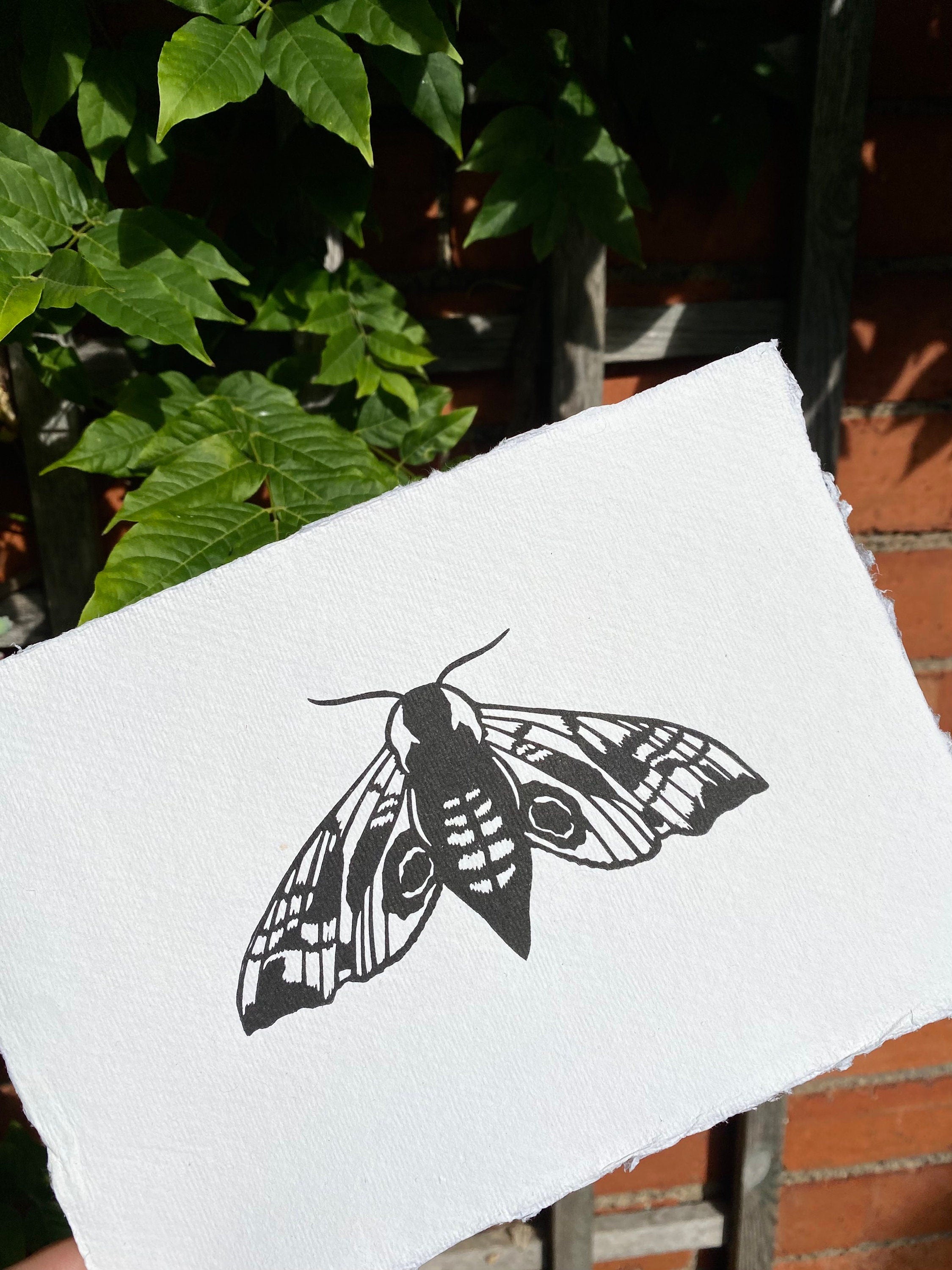 Hawk Moth A5 Lino Print