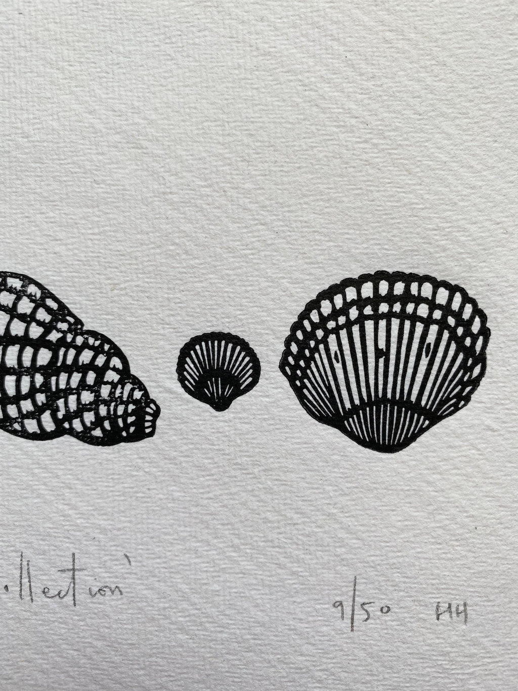 Limited Edition Shell Collection A5 Lino Print