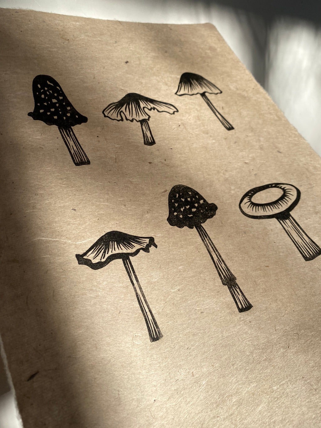 Limited Edition A4 Mushroom Collection Lino Print
