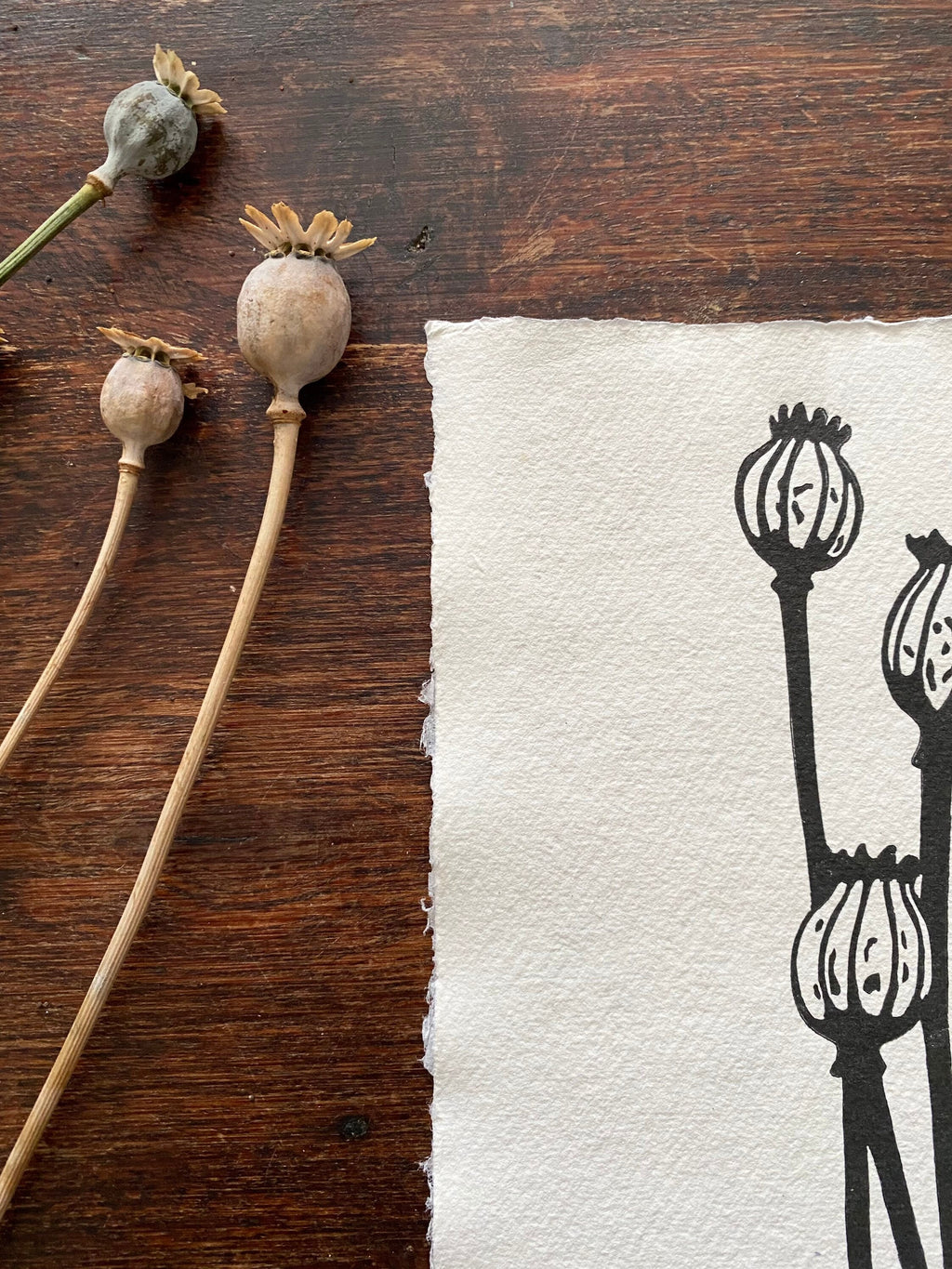 Limited Edition Poppy Seed Heads A5 Lino Print