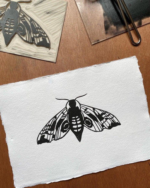 Hawk Moth A5 Lino Print