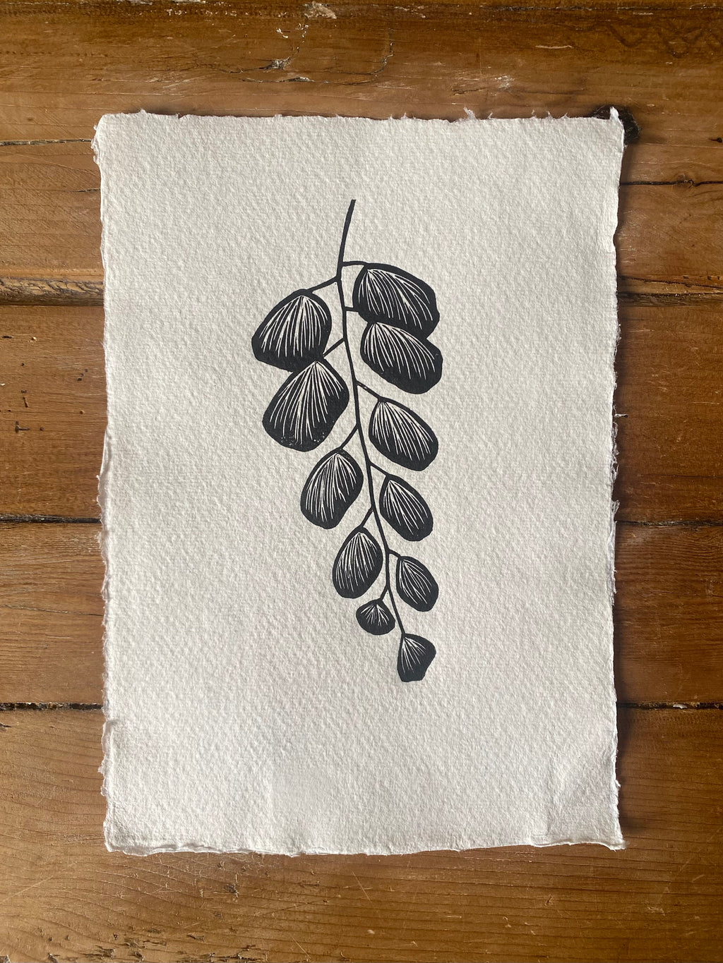 Silver-dollar Fern A5 Lino Print