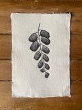 Silver-dollar Fern A5 Lino Print