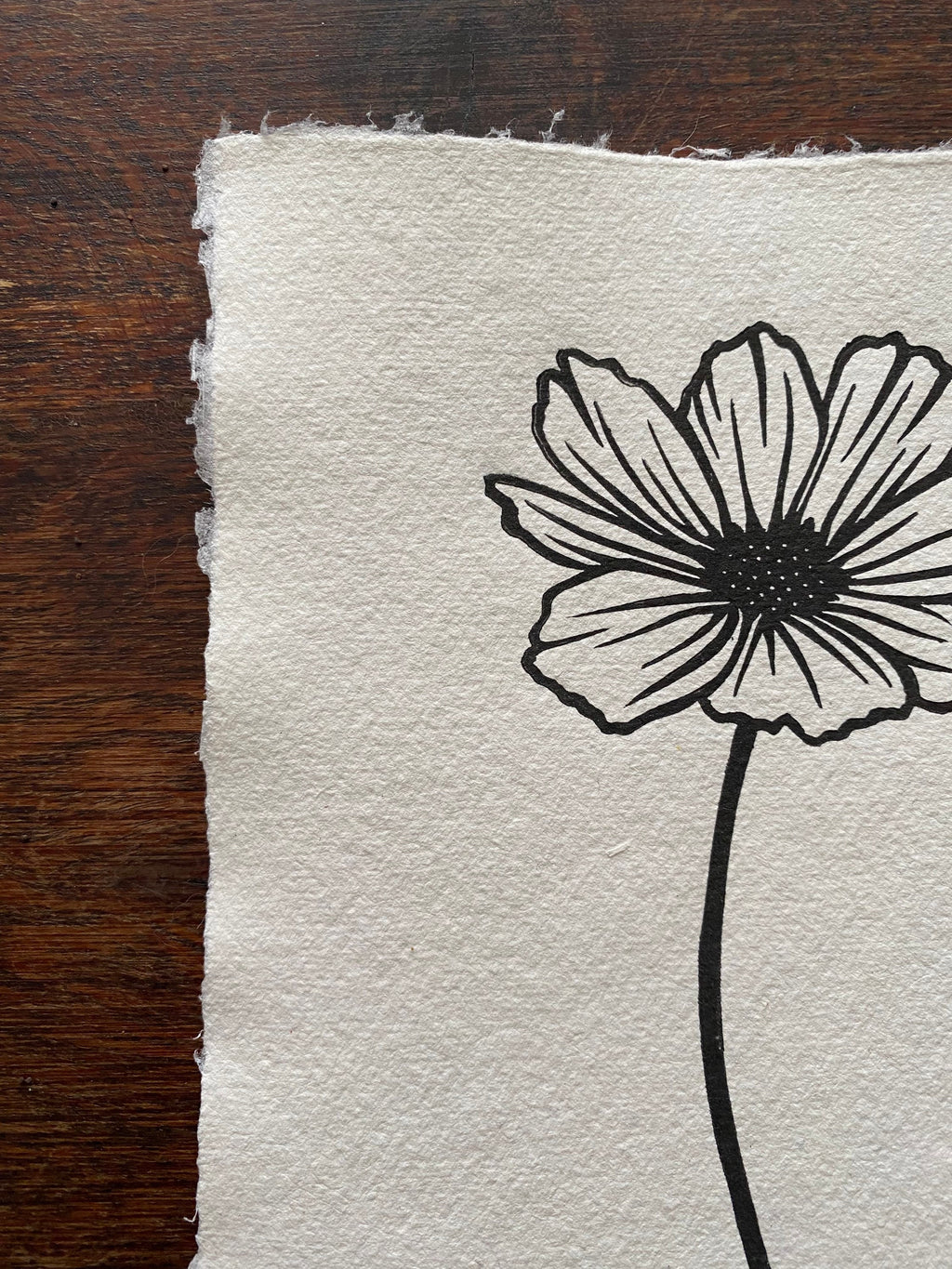 Limited Edition Cosmos A5 Lino Print