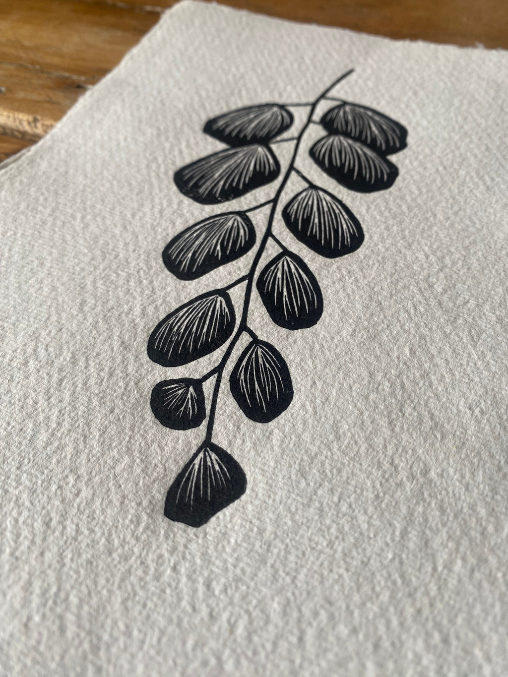 Silver-dollar Fern A5 Lino Print