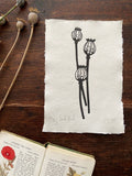 Limited Edition Poppy Seed Heads A5 Lino Print