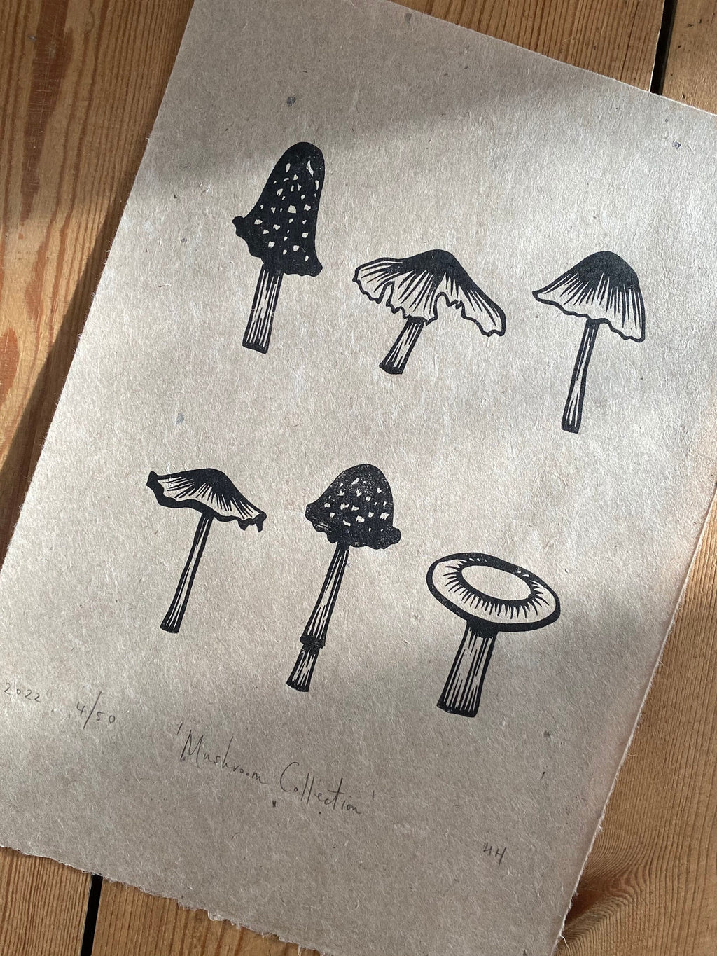 Limited Edition A4 Mushroom Collection Lino Print