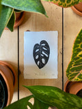 Set of 3 Monstera Leaf Original A6 Lino Prints